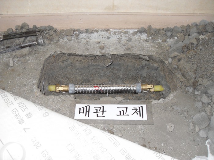 3695294320_8GY1PRmq_57f2ac19a64d6e6e9c2ac89331fc192e395439e0.jpg 이미지크게보기
