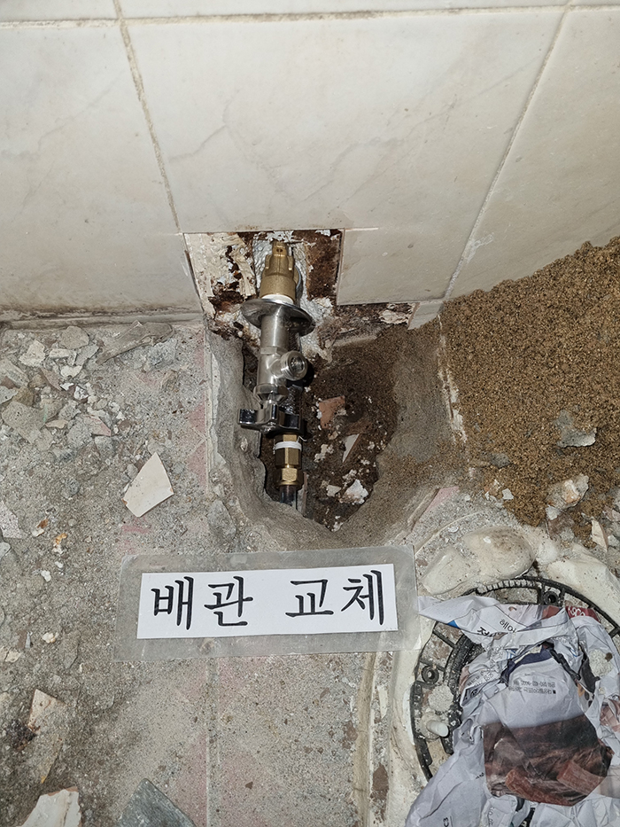 3695294320_PFYmITd7_c6421809fcf3d87dee9cde3e06e58a7f45a336e7.jpg 이미지크게보기