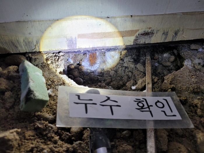 3695294320_eQIbs1nM_6b5c9be9307bd200ce318f94ac725120099b8658.jpg 이미지크게보기