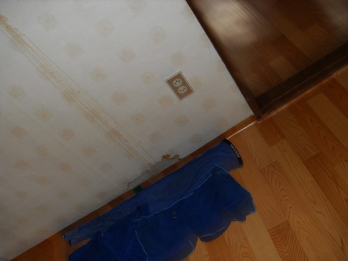 3695294320_l3LpkMQI_ca288448d2c603978ee4c65dac994ae6c66e403e.jpg 이미지크게보기