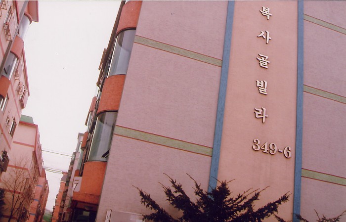 3695294320_wsf4JQxI_ff0f5f8a0130409a01f3d75606962e8b319b6d73.jpg 이미지크게보기