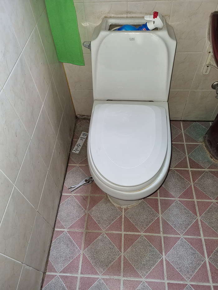 3695294320_yEvHIrhe_d6713f357c6291f8968bb3c17601e57214442fe0.jpg 이미지크게보기