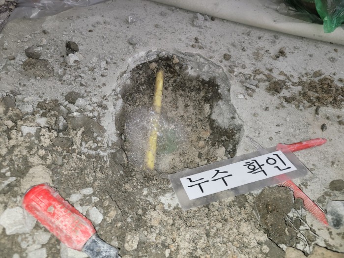 /user/1/119nusu/editor/2406/8f0374ebcf7e6e9db7f1369caa108bc2_1717464811_3885.jpg 이미지크게보기