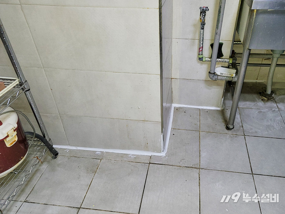/user/1/119nusu/editor/2406/b3cc5cc0627621356ea96c83b88a8ec9_1718124815_5867.jpg 이미지크게보기