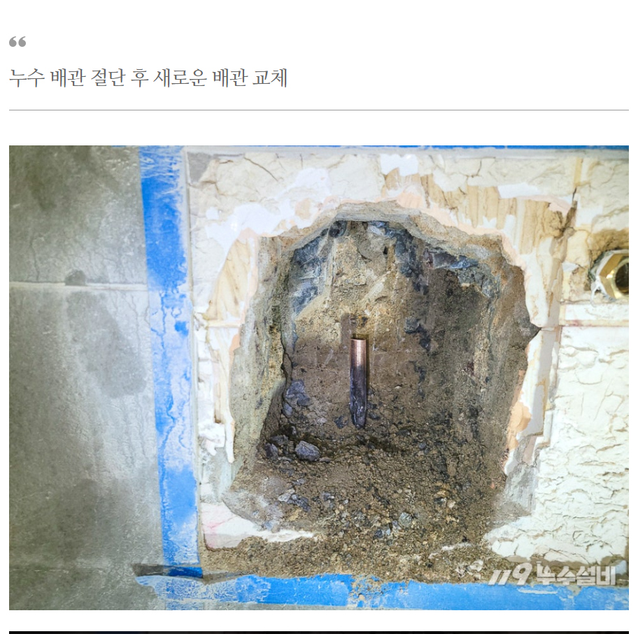 /user/1/119nusu/editor/2407/bc0cbe76e5c164316fab0eea0879ea5a_1720694625_5805.jpg 이미지크게보기