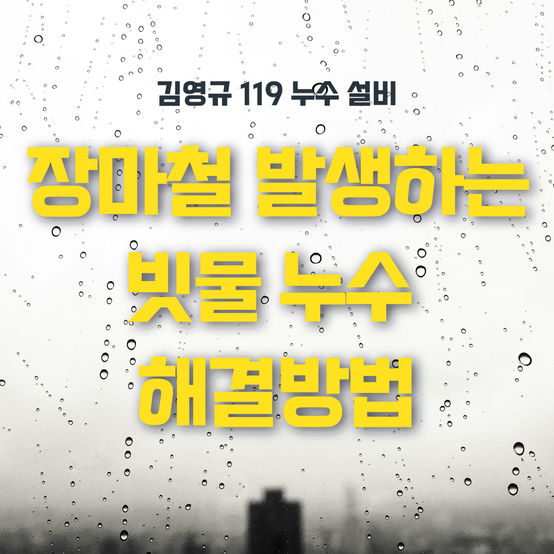 /user/1/119nusu/editor/2407/bc0cbe76e5c164316fab0eea0879ea5a_1720694995_3467.jpg 이미지크게보기