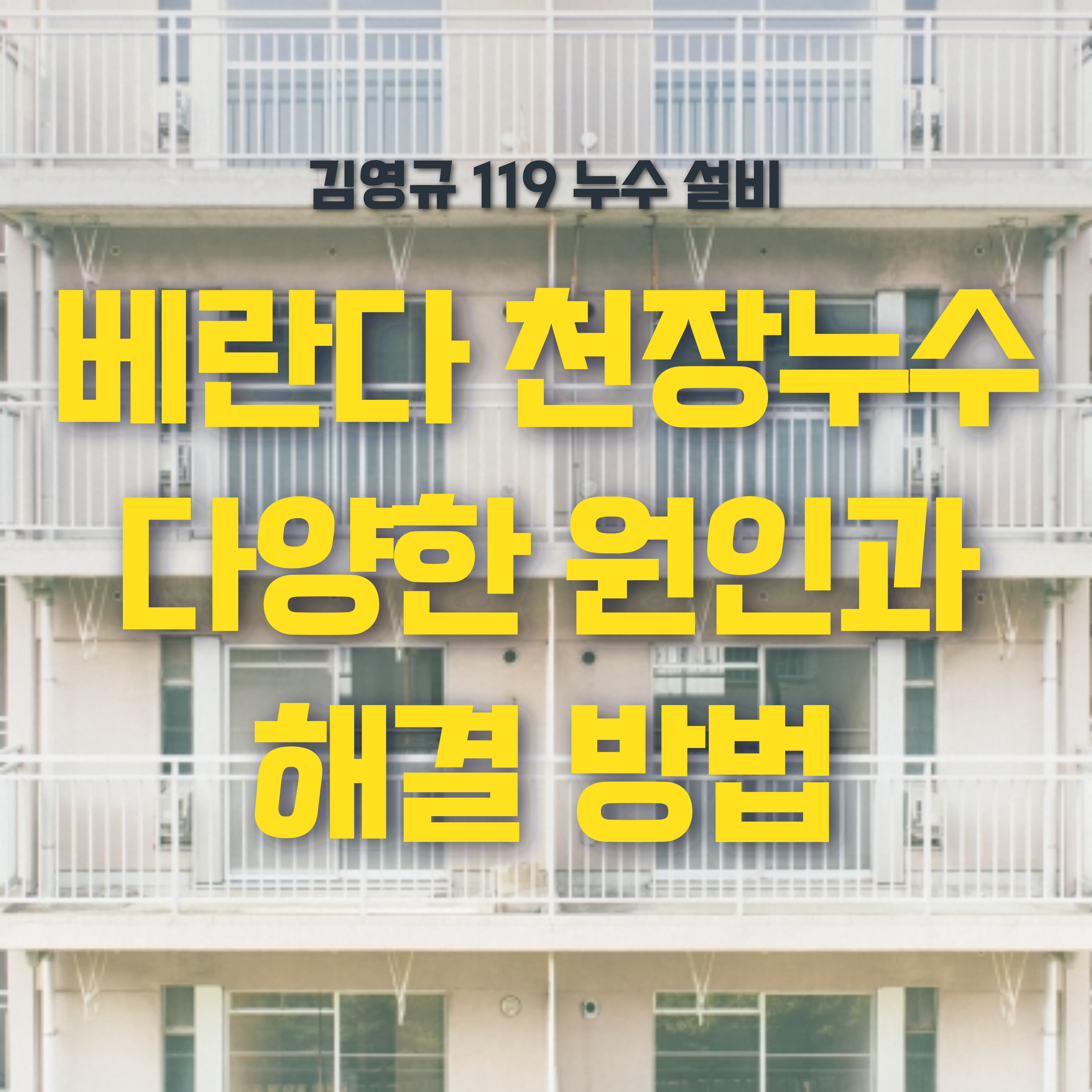 /user/1/119nusu/editor/2407/bc0cbe76e5c164316fab0eea0879ea5a_1720695337_6319.jpg 이미지크게보기